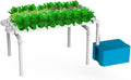 Veggie Hydroponic Kit N1 NFT System 32 Plants Indoor Best Seller Garden Grow Food