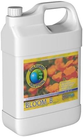 Bloom B 1 Quart