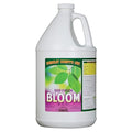 Humboldt County's Own Deep Fusion Bloom Gal
