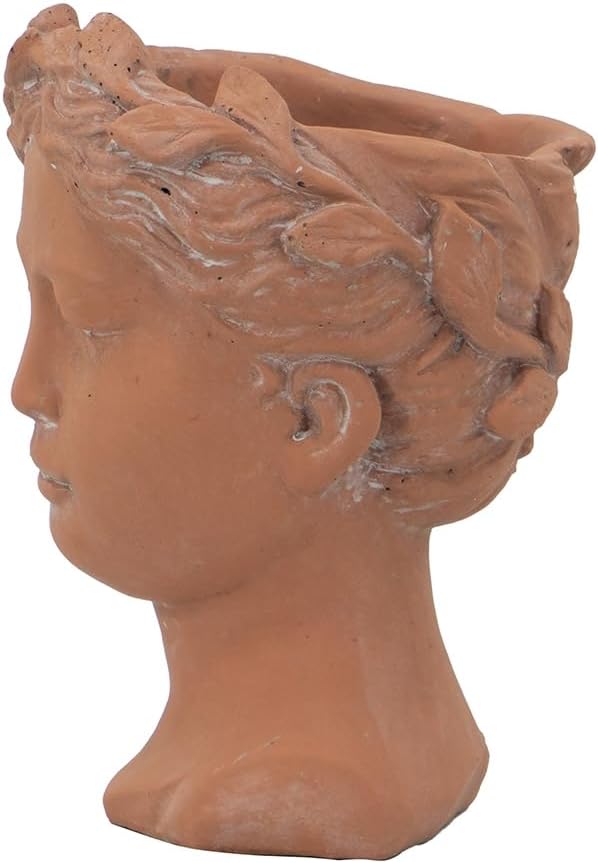 D6x9 Visage Head Bust Planter Brown
