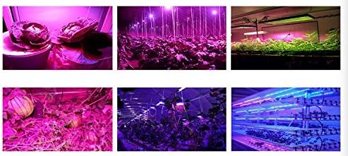 PAR38 15W E27 36 LED Plant Grow Light Bulb(RED:Blue 5:1) for Plant Grow Water-Proof IP65 for Indoor&ampOutdoor use 100-270V (15)