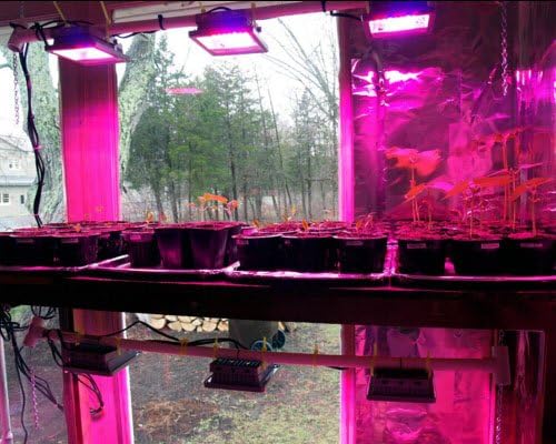 ACKE LED Grow Lights Full SpectrumPlant LightsGrowing Lamps 12W for Indoor PlantsHydropoincs