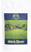 Micro Clover - (1LB) Nitro-Coated 240000 Total Seed - Covers Up to 1600 Sqft! Transform Your Lawn with Seeds That are Eco-Friendly Low Maintenance and Drought-Tolerant.