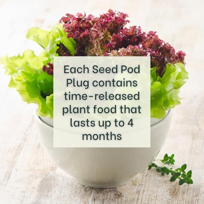 Gourmet Looseleaf Lettuce Blend - Complete Seed Pod Plugs with Plant Food - 10 Pods for Hyrdoponic Gardens Click and Grow Lettuce Grow and Outdoor Gardens