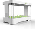 30 Pods Indoor Herb Garden Kit Hydroponics Growing with 20W LED Grow Light Automatic Timer Germination Kits 4L Water Tank