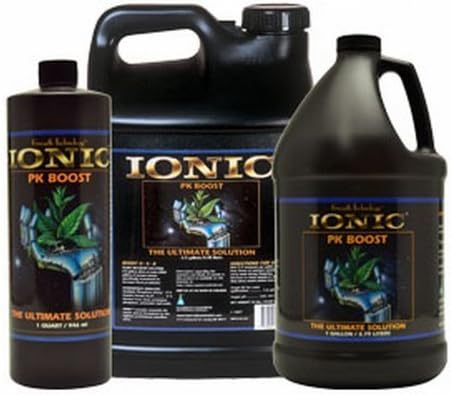 Ionic Boost 0-5-6 Quart