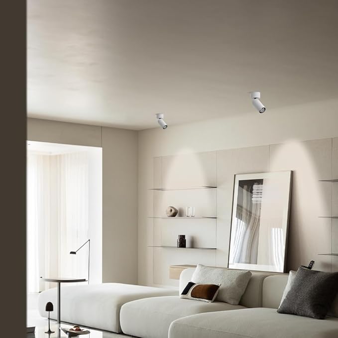 Spotlight White Hardwired SpotlightsAdjustable Directio l Accent Spotlights 10w Exposed Mounted Light for Living Room Artwork Display Lamps