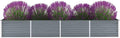 SKM Garden Raised Bed Galvanised Steel 320x80x45 cm Grey (Weight-12KG)