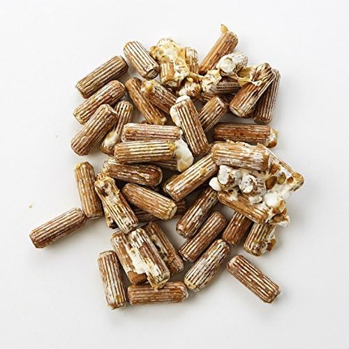 Spawn and Wax Combo - Shiitake Mushrooms Mushroom Mycelium Plug Spawn - 100 Count Plugs - 3oz Wax Grow Edible Gourmet &amp Medicinal Shitake Fungi On Trees &amp Logs