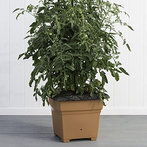 EarthBox 81755 Garden Kit White
