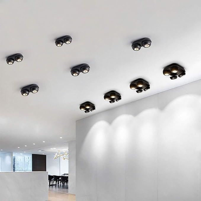 20w Led Ceiling Spotlight Accent Lamp 2-Light lti-directio l Mounted Mount FixturesBlack AlumiExpression artistique m Spot Lights for Kitchen Office