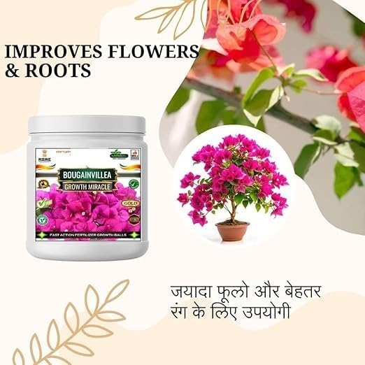 Bougainvillea Growth Miracle Fast Action Organic Granules for Rapid Growth and Heavy Flowering. (200 gm)