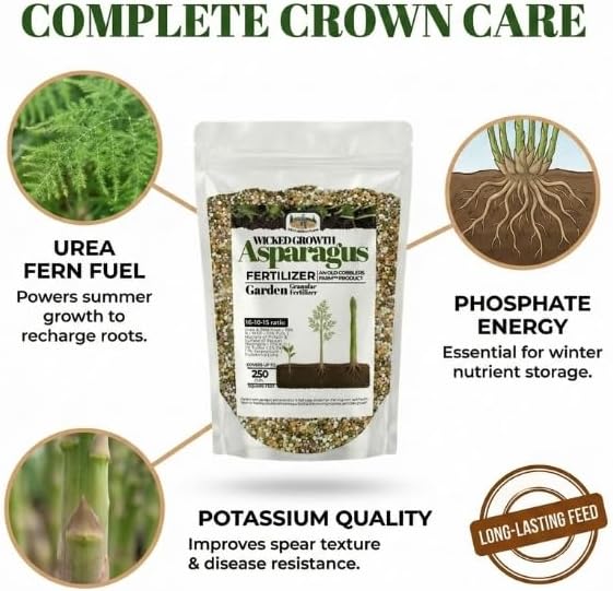 Asparagus Fertilizer - 100% Nourishes Root Growth Enhances Flavor Boosts Plant Health Slow-Release Nutrients for Optimal Garden Performance - 20 lb Bag by Old Cobblers Farm