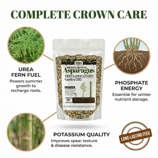 Asparagus Fertilizer - 100% Nourishes Root Growth Enhances Flavor Boosts Plant Health Slow-Release Nutrients for Optimal Garden Performance - 10 lb Bag by Old Cobblers Farm