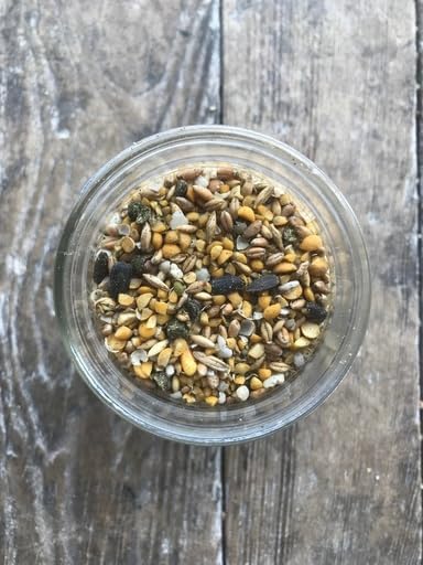 Non-GMO Soy and Corn Free Whole Grain Layer Blend 16% - Chicken Feed for Laying Hens and Ducks - Includes Essential Oils Herbs Oyster Shells Vital Minerals and Omega 3 40lb