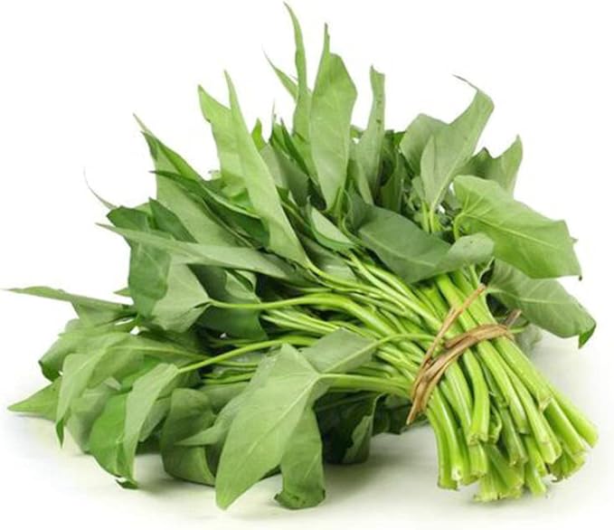 2000+ Kong Xin CAI Seeds - 40+ Grams Green Leaf Vegetable Seeds for Planting Garden - Non-GMO Choy Ong Seeds &amp 100% Produced in The US