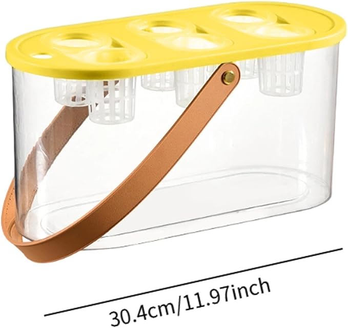 MYCENSE Hydroponics Grower Box Hydroponics Tool with 6 Holes Hydroponic System Growing Box Indoor Tabletop Mini Aquarium for Indoor Yellow