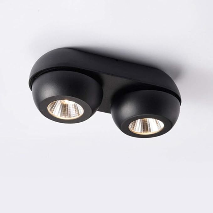 20w Led Ceiling Spotlight Accent Lamp 2-Light lti-directio l Mounted Mount FixturesBlack AlumiExpression artistique m Spot Lights for Kitchen Office