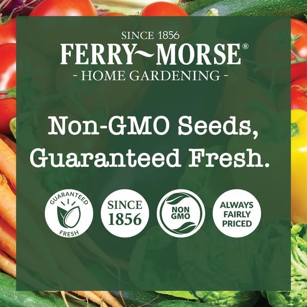 Ferry-Morse Tomato Lover Seed Variety Pack - 10 Pack