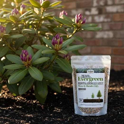 Old Cobblers Farm™ Wicked Growth Evergreen Fertilizer with Iron – Complete Tree &amp Shrub Nutrition for Deep Green Foliage Root Growth &amp Year-Round Health (5 lbs | 10 lbs | 15 lbs | 20 lbs) (15