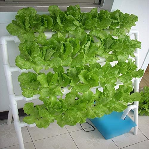 Hydroponic Grow Kit 4 Layers 36 Plant Sites Garden Planting System Hydroponic Growing System Water Culture Garden Plant System Garden Vegetable Planting Tool