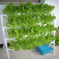 Hydroponic Grow Kit 4 Layers 36 Plant Sites Garden Planting System Hydroponic Growing System Water Culture Garden Plant System Garden Vegetable Planting Tool