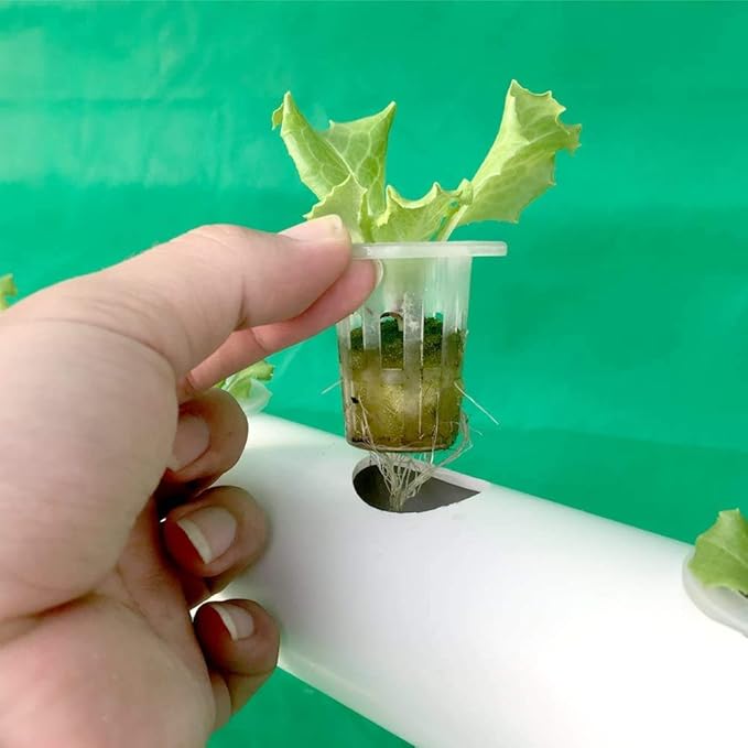 Hydroponic System Hydroponic Growth Kit PVC Hydroponic Test and Hydroponic Garden Plant System Vegetables Fruits Flowers 36 Plant SitesA