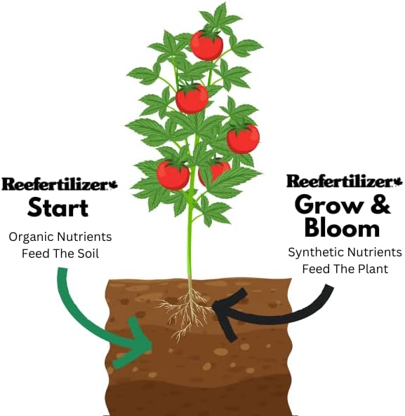 Start | Mycorrhizal Fungi &amp Organic Kelp Meal Soil Booster for Transplant and Top Dressing | Root Enhancer and Living Soil Booster