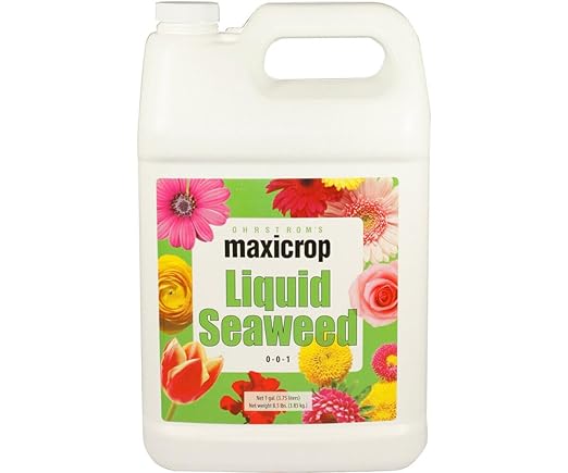 MaxiCrop Original Liquid Seaweed Plant Nutrient
