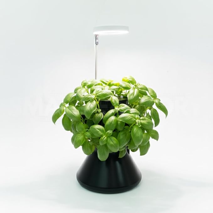 Hydroponic Mini Garden System for Desktop Plants Complete Indoor Garden with Nutrients Seeds &amp Accessories (Black + Light)