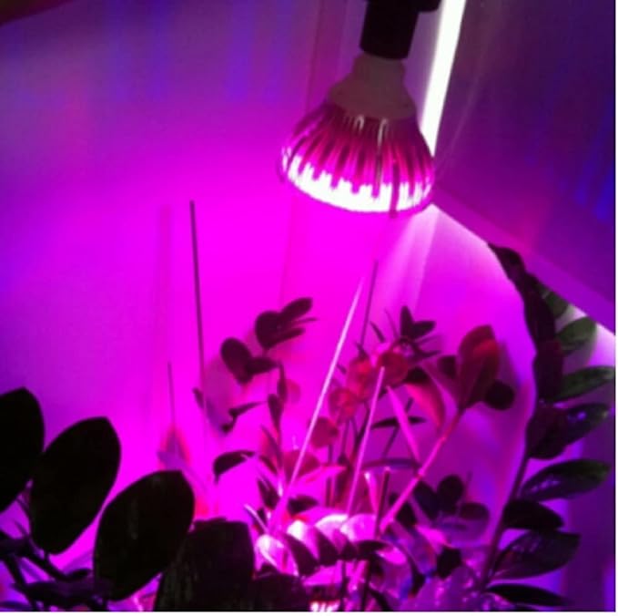 Luopan Indoor Lighting 4pcs/lot LED Grow SoptLight PAR38 AC90-265V 12W/24W LED Infrared Light Baking Light Plant Growth Light (Color : White Size : 12w)