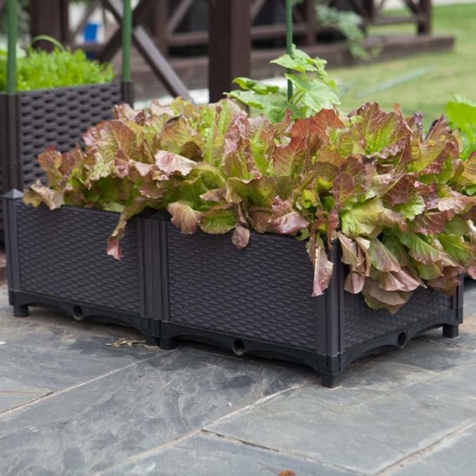 YSUEFIJO Raised Garden Bed with Self Watering Planter Box and Drainage Plug Elevated Vegetable Growing Bed Planter Raised Beds for Vegetables Flowers Herbs and Succulents