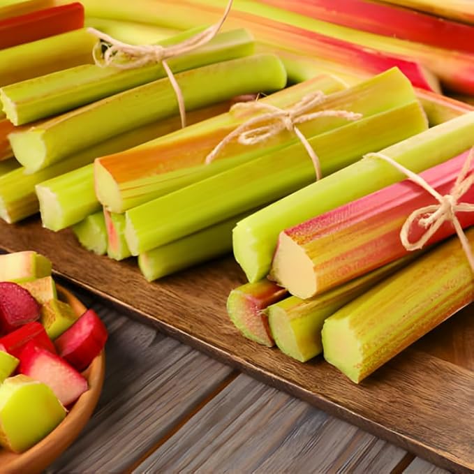 3 Rhubarb Roots Plants for Planting Large Red Cherry Rhubarb Crown Fast-Growing Hardy Rhubarb Plant for Outdoor and Backyard GardensHardy Non GMO Plant for Homegrown Gardens