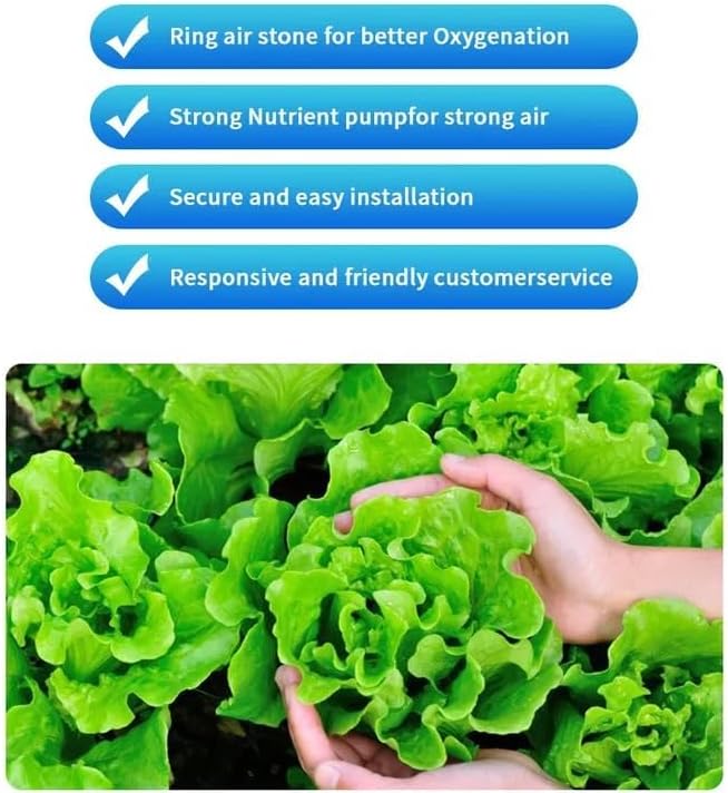 GROZY Hydroponics Growing System 5 Gallon DWC hydroponic System kit 20L One Bucket DWC Kit with 20cm Net Pot 120V Air Pump Air Stone &amp Water Level Indicator Indoor Garden