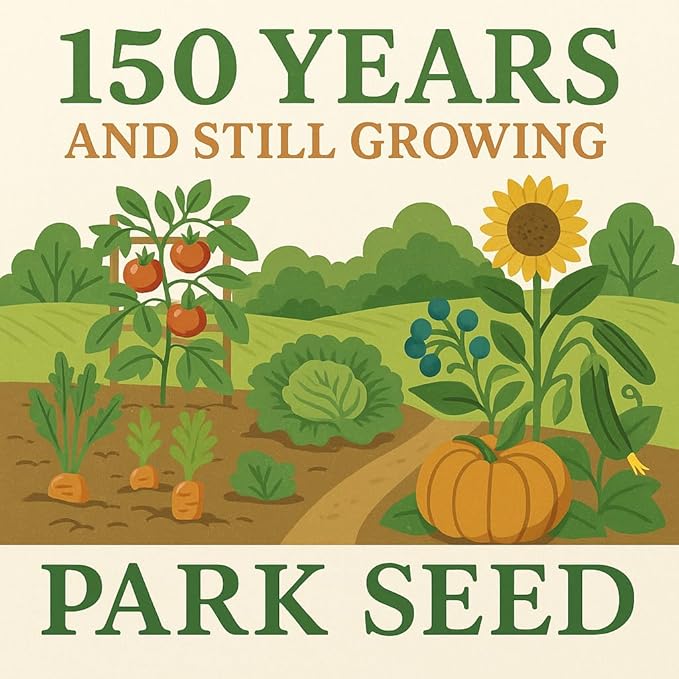 Park Seed Variety of Tomato Seeds Planting Vegetables Easy to Grow Non-GMO Perfect for Harvesting Beefmaster Hybrid Pack of 1000