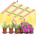 4 Heads 2400W Sunlight Full Spectrum Grow Panel-624 High-Performance LEDs Veg/Bloom Modes for Greenhouses Hydroponic Setups/Indoor Plantations Sun-Like Lighting to Boost Yield &amp Plant Vitality US
