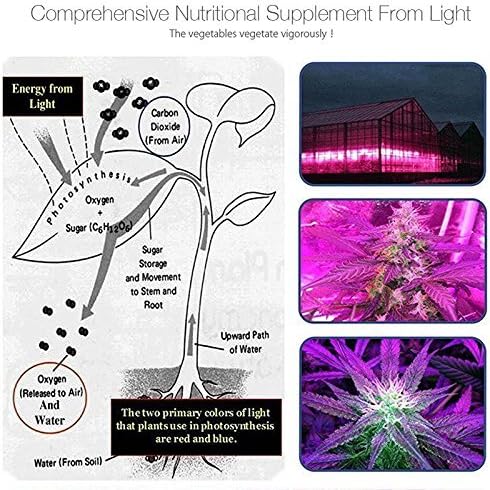 Grow Light - BANGWEIER 50Watt LED Grow Light - Red White And Blue LEDs 50000 Hour Life Span 2900 Lumen