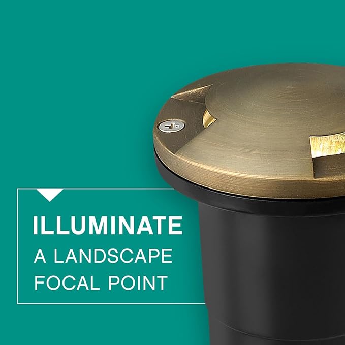 Hinkley Landscape Lighting Hardy Island LED Directional Well Light 3 Openings Matte Bronze
