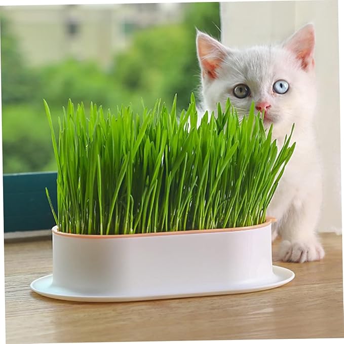 VICASKY 4Pcs Hydroponic Catnip Planter Box Set Soilless Cat Grass Growing Kit Detachable Tray for Indoor Cats Creative Design