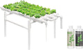 VIVOSUN Hydroponic Grow Kit and Plant Food Nutrients Base A(4-0-1) &amp B(1-4-2) Bundle All Purpose Liquid Fertilizer Hydroponic Plant Food Supports Vegetative and Flowering Stages