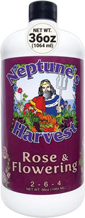 Neptune's Harvest Rose &amp Flowering Fertilizer (2-6-4) - 36oz Bottle - Organic Liquid Food for Vibrant Blooms &amp Growth - Promotes Healthy Foliage - Ideal Fertilizer for Indoor &amp Outdoor Use