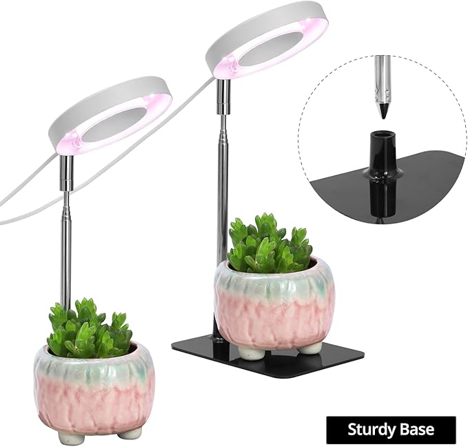 QWORK Grow Lights for Indoor Plants 3 Pack Full Spectrum LED Desk Grow Lamp 7-25 in Adjustable Height Auto Timer 2/4/8H 4 Dimmable Levels USB Powered