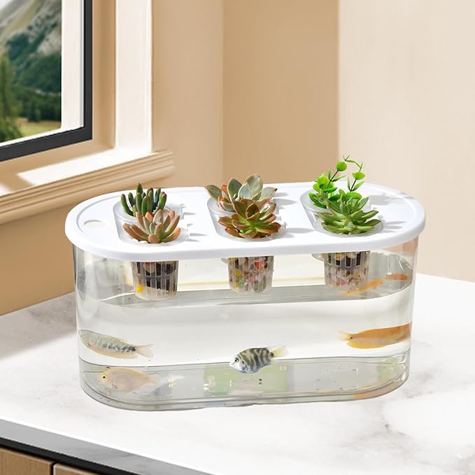 Hydroponics Grower Box Desktop Micro Landscape Tank with 6 Holes Indoor Tabletop Mini Aquarium for Vegetables Plants and Fish- White