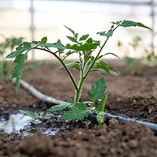 Drip Tape for Garden Irrigation-5/8 8 mil Thick 4 inch spacing of emitters 1.34 GPM/100' (300 Feet)