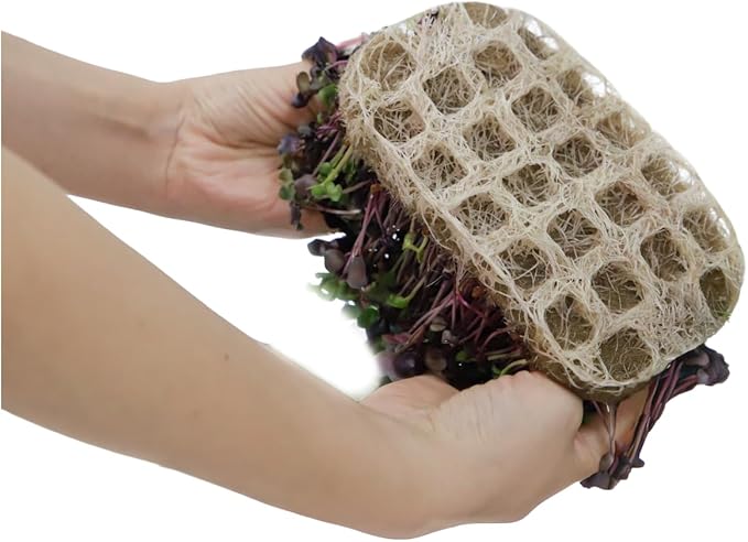 Microgreens Growing Trays Bundle Growing Lamp 3 Silicone Trays &amp 18 Jute Mats Microgreens Growing Kit Refill Seed Sprouting &amp Indoor Grow Accessories (No Seeds)
