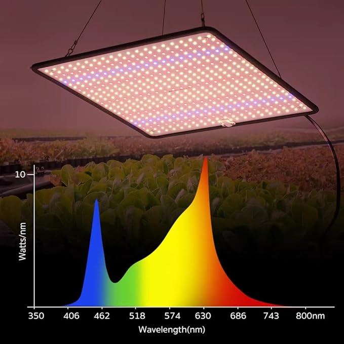 LED Grow Light Panel 1200W Lamp for Indoor Plants Dimmable Plant Grow Light Full Spectrum for 3x3ft Coverage Grow Tent Greenhouse Veg and Bloom Seedlings Hydroponics