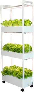 AMNOOL Hydroponics Tower with LED Grow LightIndoor Gardening SystemAeroponics Growing Kitfor Herbs Fruits and Vegetableswith Hydrating Pump Adapter Net Pots Timer.