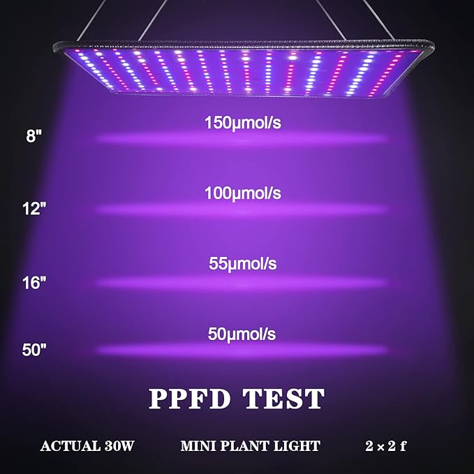 Grow Light for Indoor Plants - SERWING 200W LED Grow Light Full Spectrum Plant Growing Lamp for Indoor Cultivation Greenhouse Grow Tent Hydroponics (Full Spectrum)