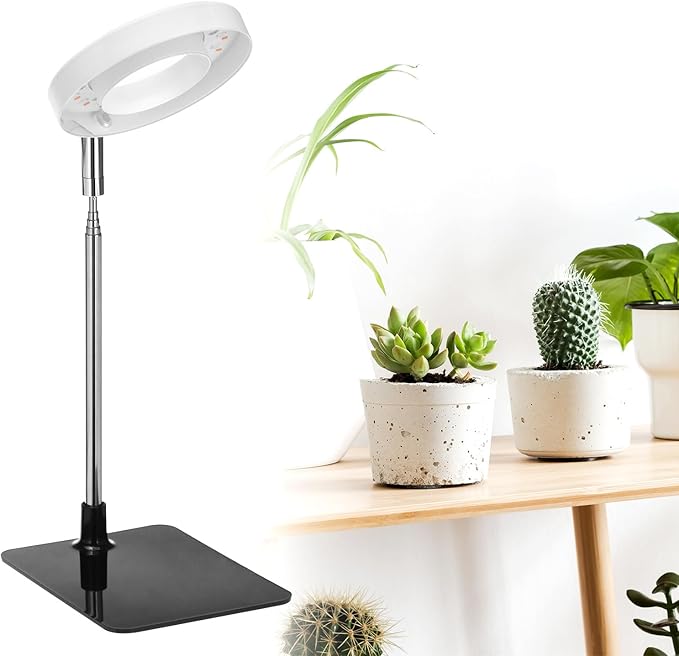 QWORK Grow Lights for Indoor Plants 3 Pack Full Spectrum LED Desk Grow Lamp 7-25 in Adjustable Height Auto Timer 2/4/8H 4 Dimmable Levels USB Powered