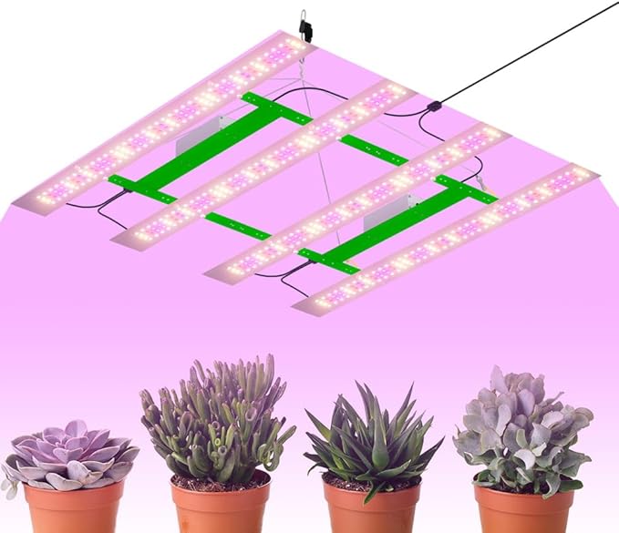 600W LED Red-Blue Two Spectrum Dimmable Growing Lights with 50000-Hour Long-Lifespan Diodes 100-277V Universal Voltage &amp US Plug for Indoor Flowers Seed Germination Hydroponic Supplemental Ligh
